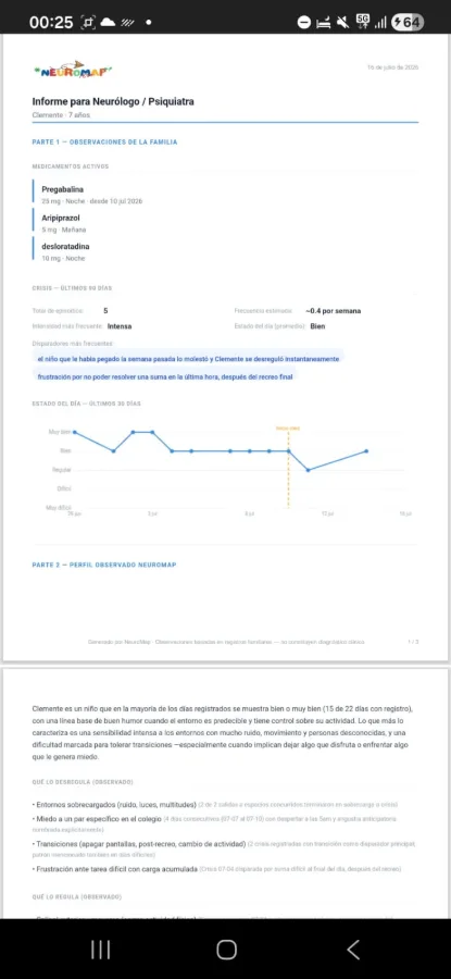 NeuroMap · informe para terapia
